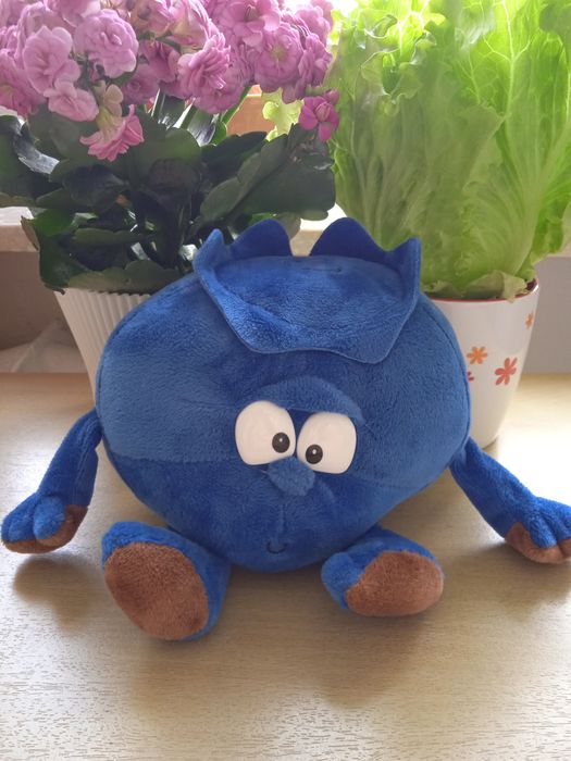 Borówka gang świeżaków