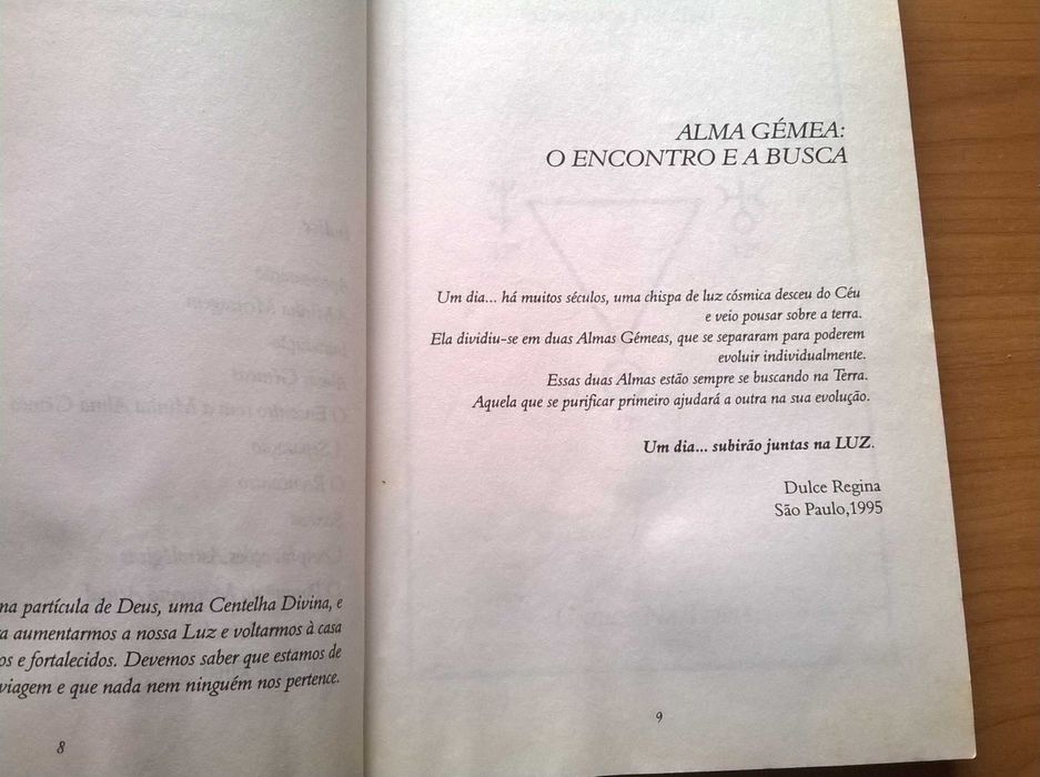 Alma Gémea * O Encontro e a Busca - Dulce Regina