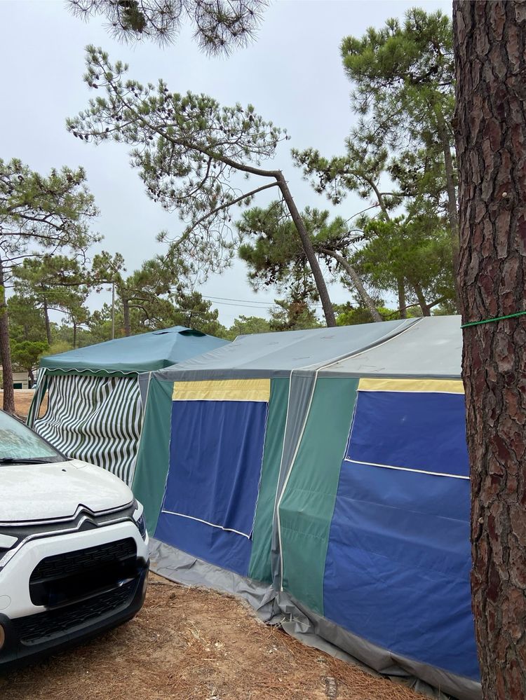Atrelado tenda Saurium Supreme