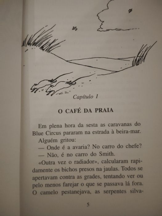 Livros Juvenis Coleção Terra Verde Verbo Usados