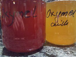 Sok syrop zakwas przytulia pokrzywa Bez oxymel miodunka z Podlasia