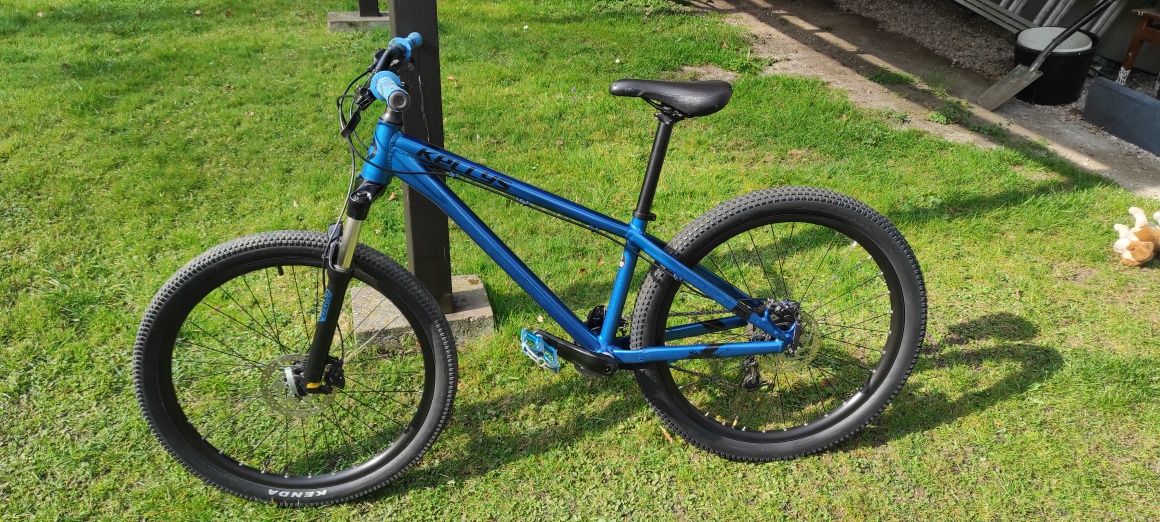 Rower Kellys Whip 50 2021 rozmiar M