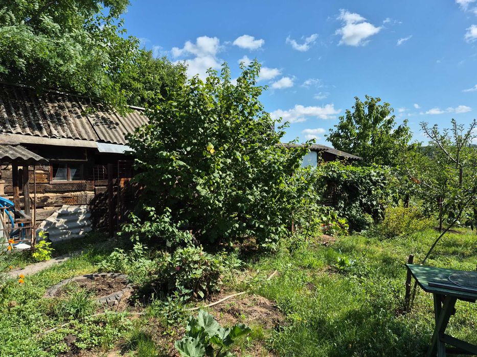 Продам будинок в селі Носачів