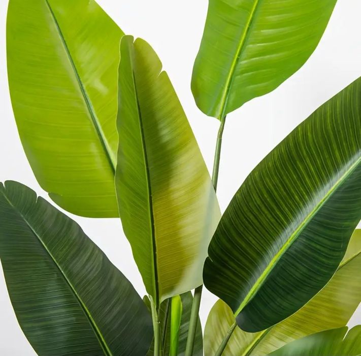 HIT Sztuczne Drzewo Bananowe Sztuczny Bananowiec Roślina Palma 180cm