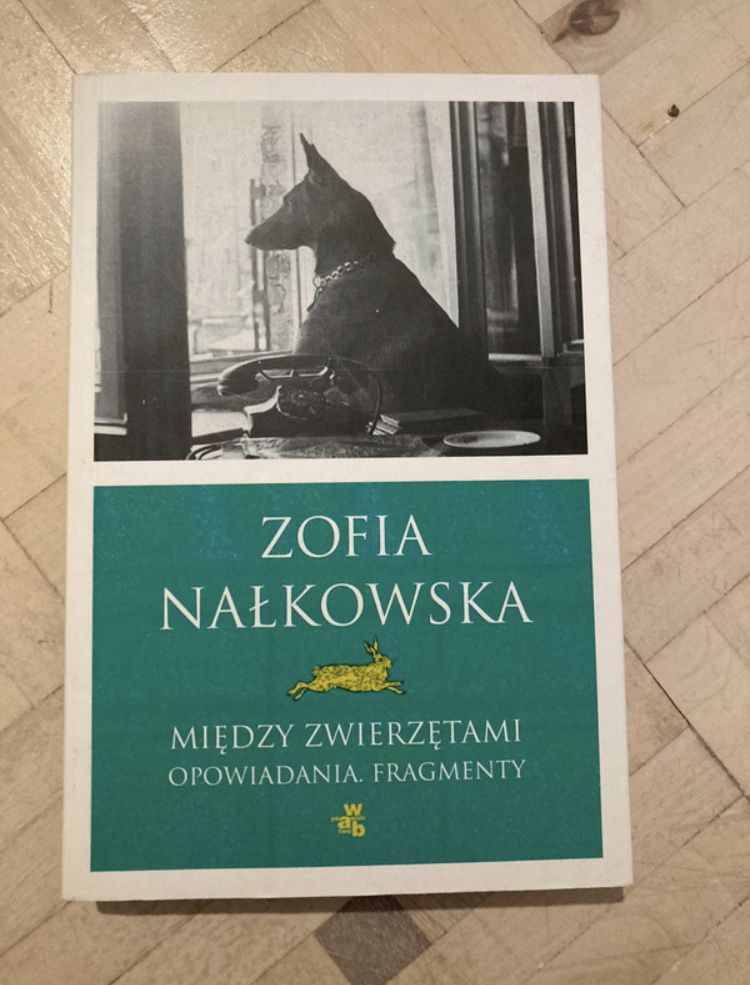 Między zwierzętami opowiadania Zofia Nałkowska