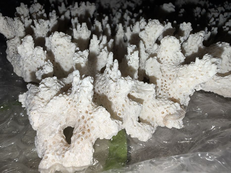 Коралловый камень для аквариума, 6,5 кг