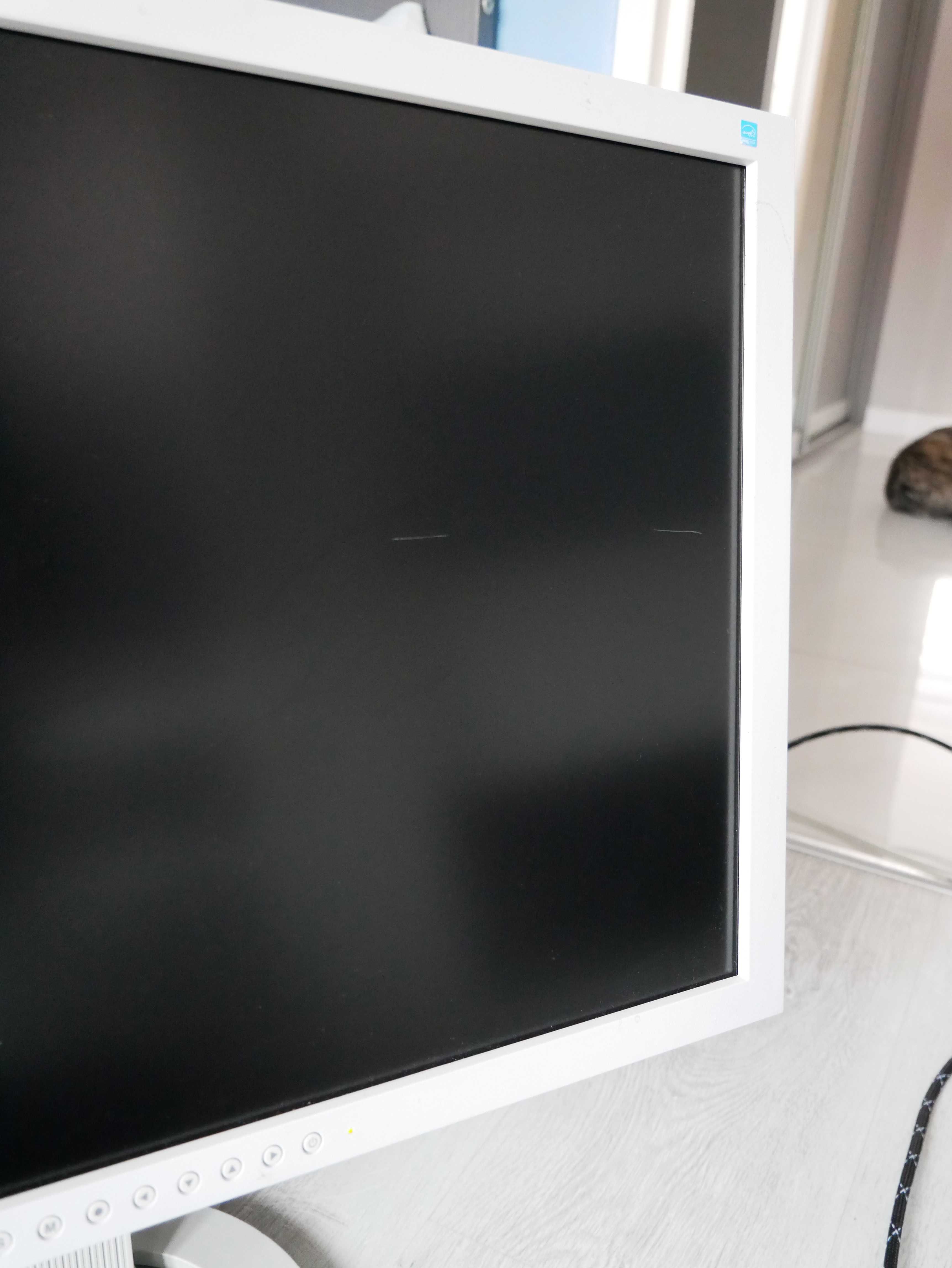 Monitor Eizo FlexScan S2433W 24” WUXGA – VA, DisplayPort, Pivot