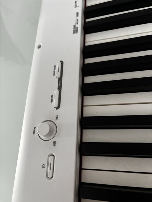 Pianino Elektryczne casio.