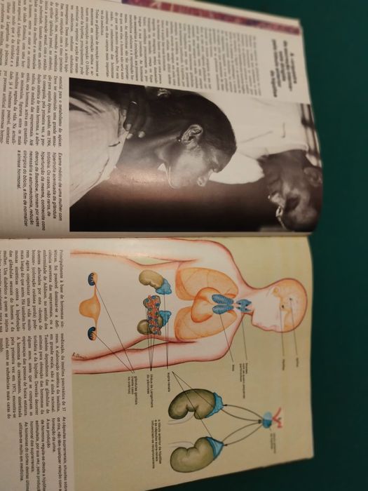 Livro “O Homem Seu Corpo E Seu Espírito”