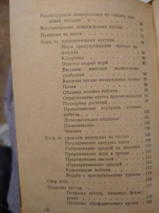 Виноградник любителя Н.Ивонин 1967г.