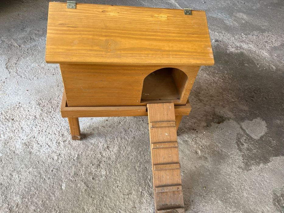 Casinha para patos