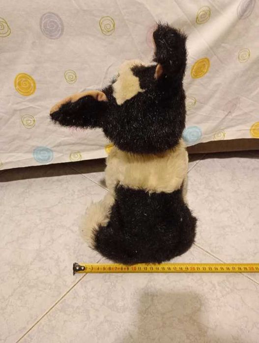 Husky peluche cão