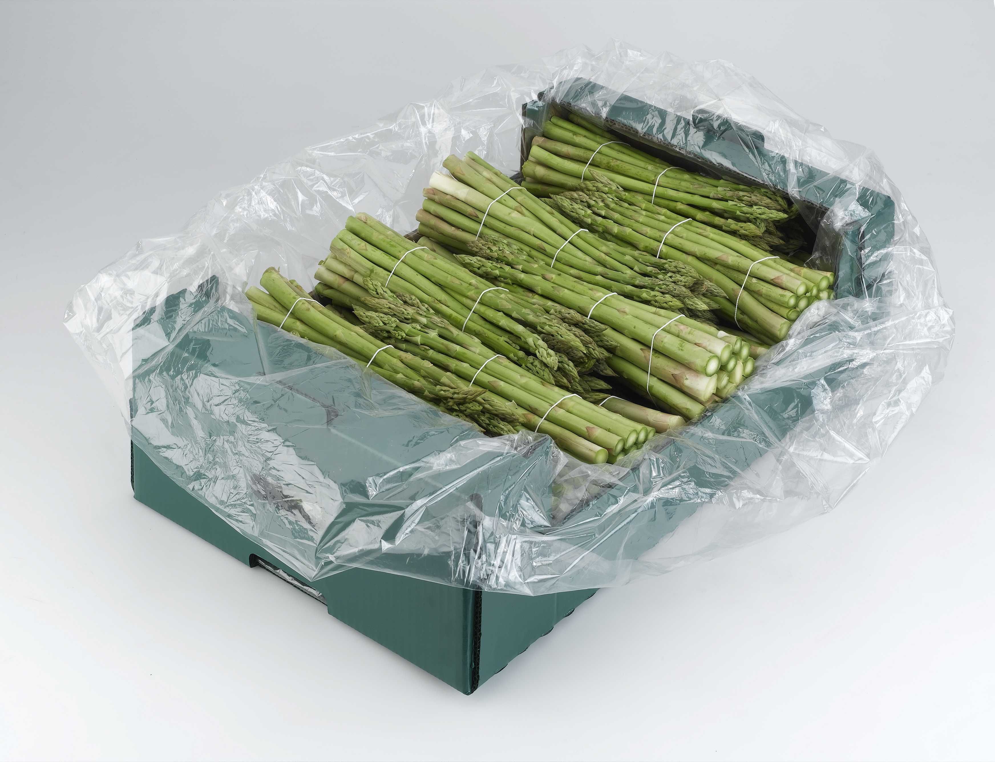 Worek Xtend folia szparagi zielone przechowywanie chłodnia 28 dni