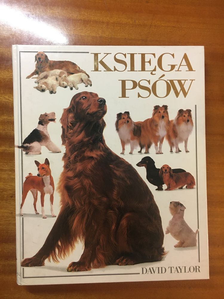 Książka "Księga Psów"