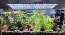 Lampa LED StylAqua do akwarium
