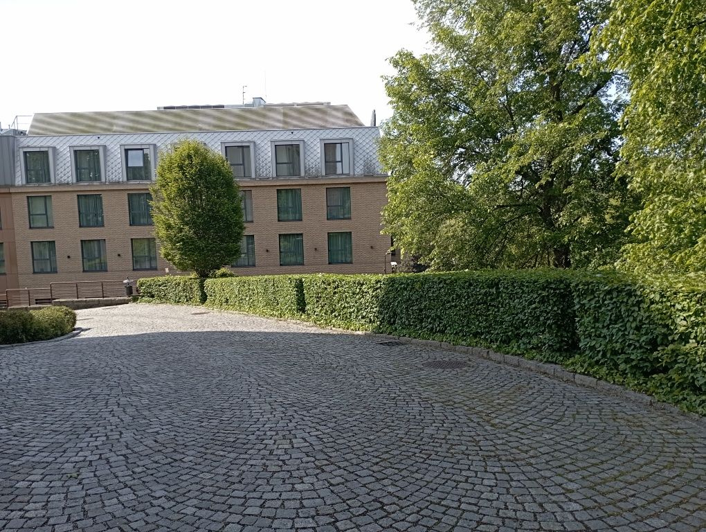 Przycinanie Tui i żywopłotów.Usługi ogrodnicze.