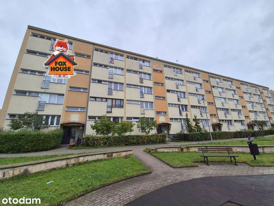 Mieszkanie 3 - pokojowe  /  pow. 46 m2 /  centrum – ul. Polna