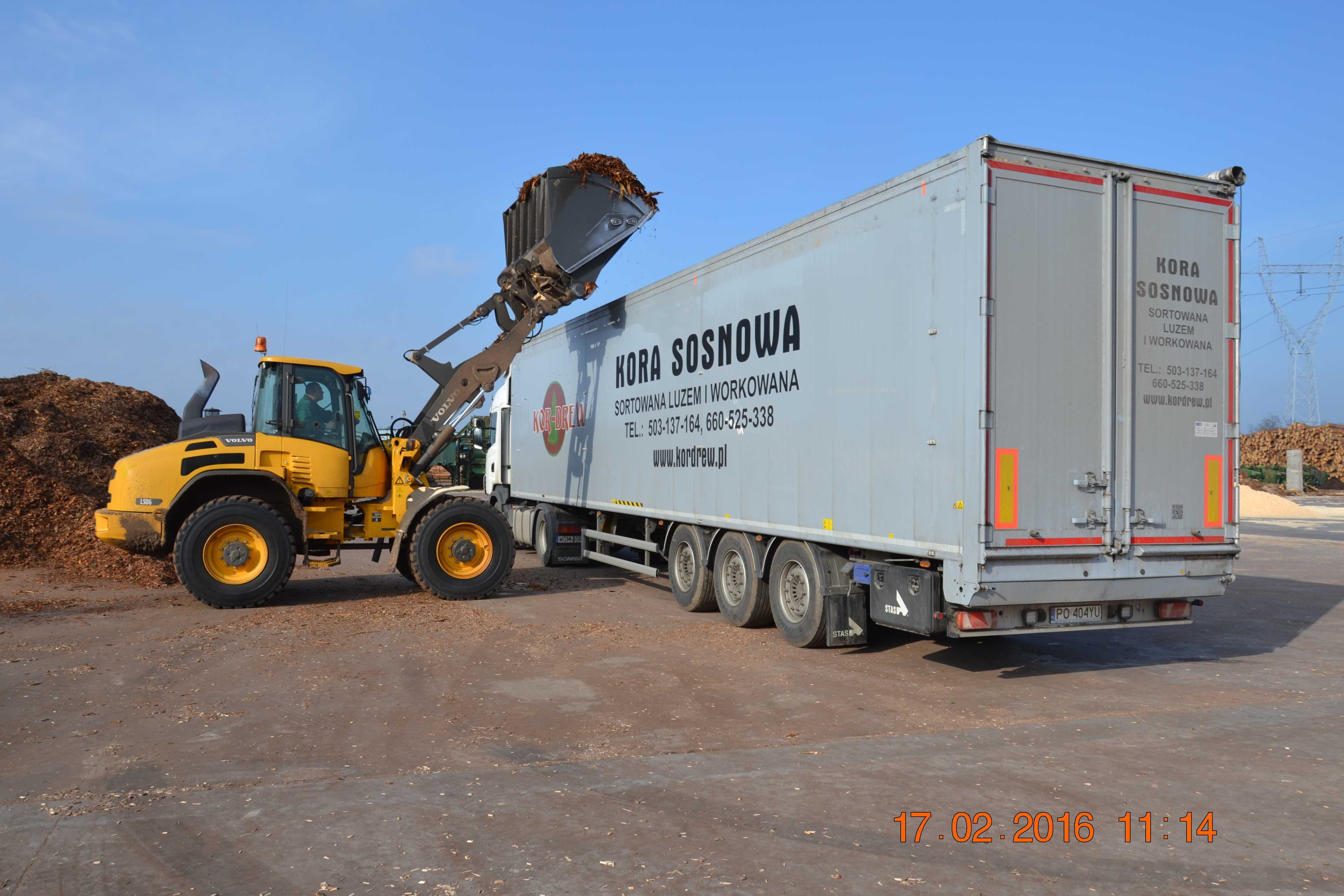 Kor-Drew Kora sosnowa luzem i workowana dostawa cały kraju min.95mp