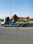 Hds, Żurawie, Usługi Transportowe, Transport Drewna