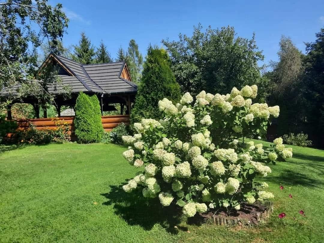 Domek nad jeziorem (do 6 osób)