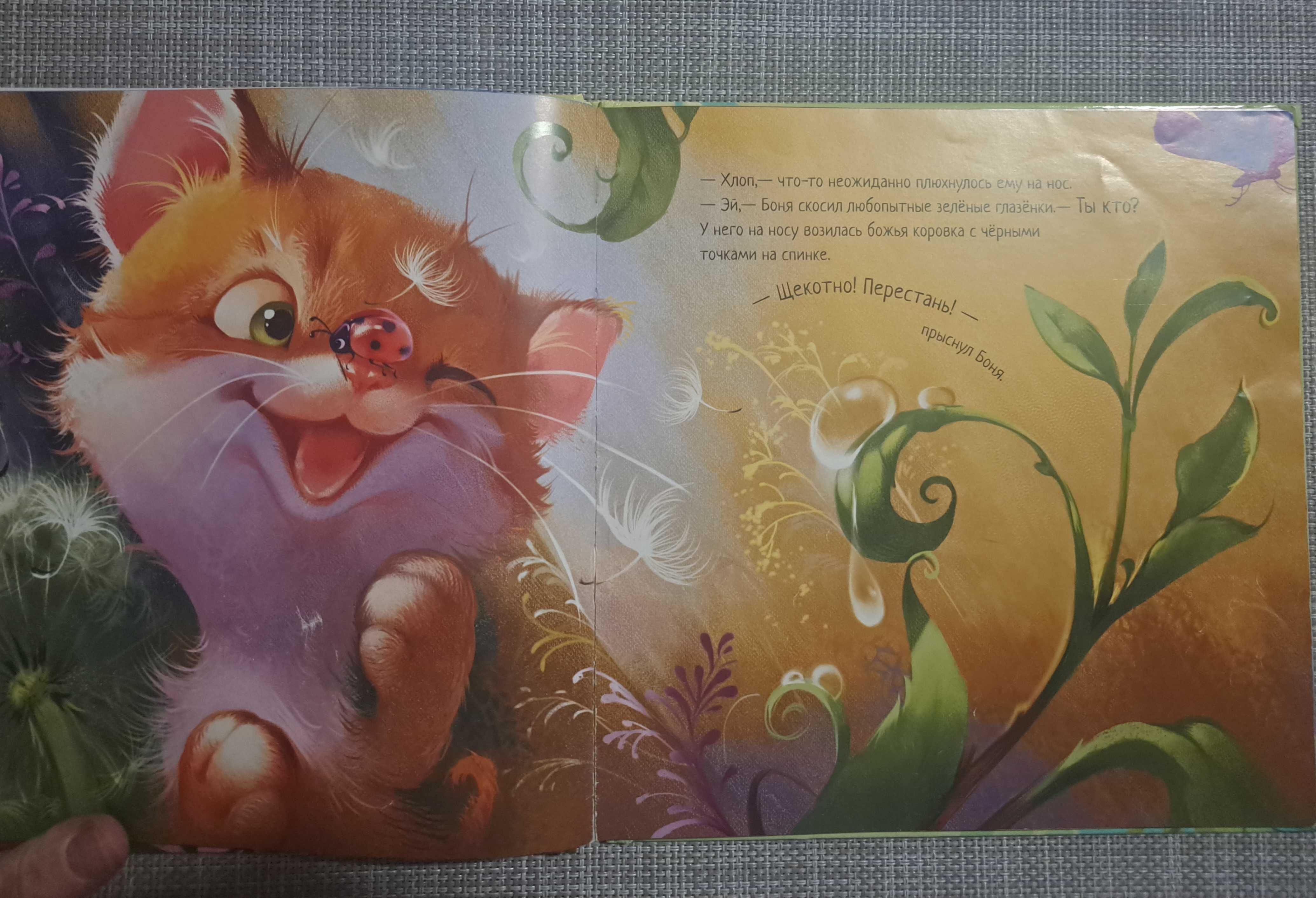 Książka dla dzieci Котёнок и солнышко / po rosyjsku