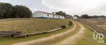 Quinta espetacular em pleno Alentejo
