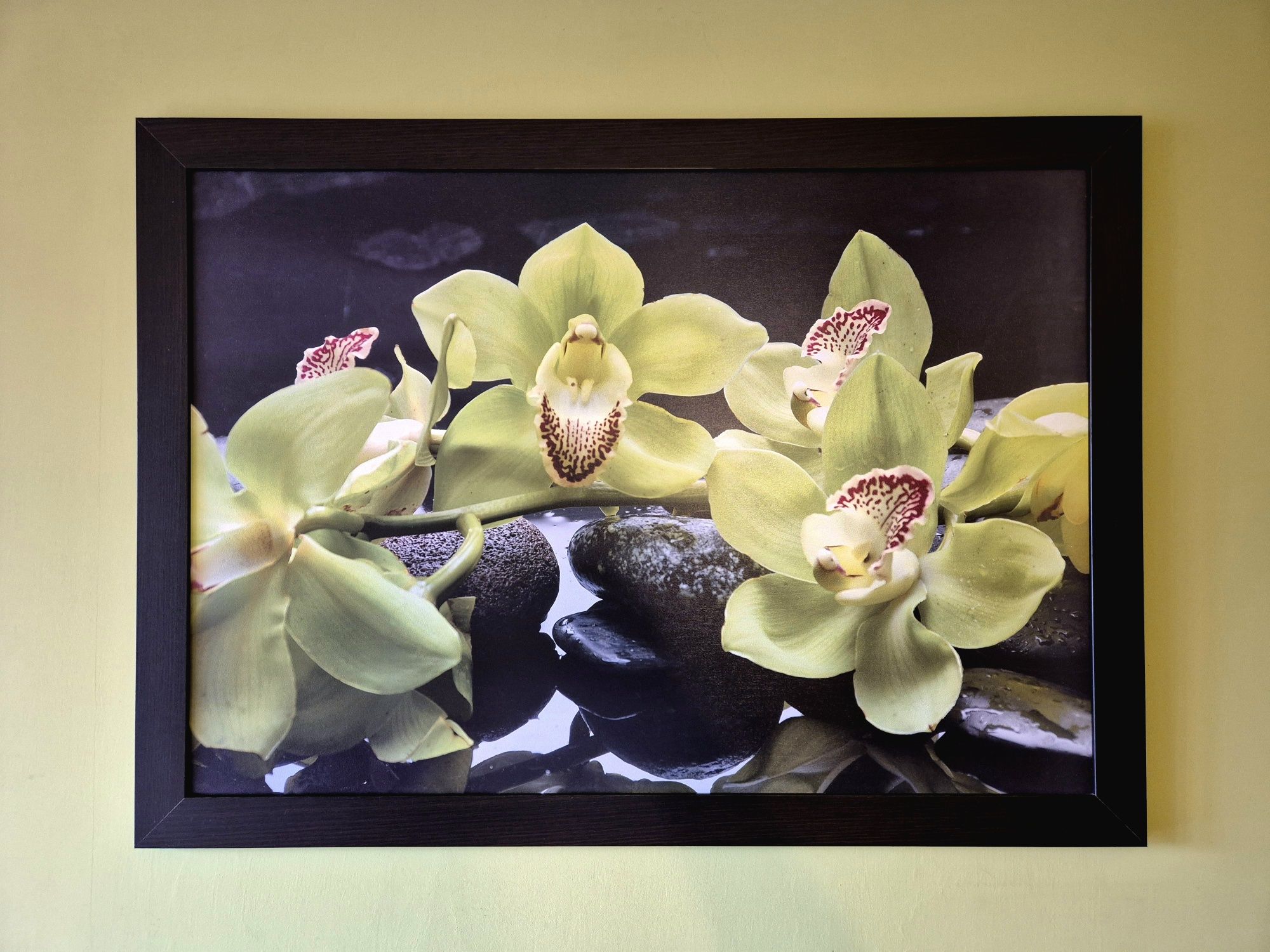 Duży obraz z orchideami
