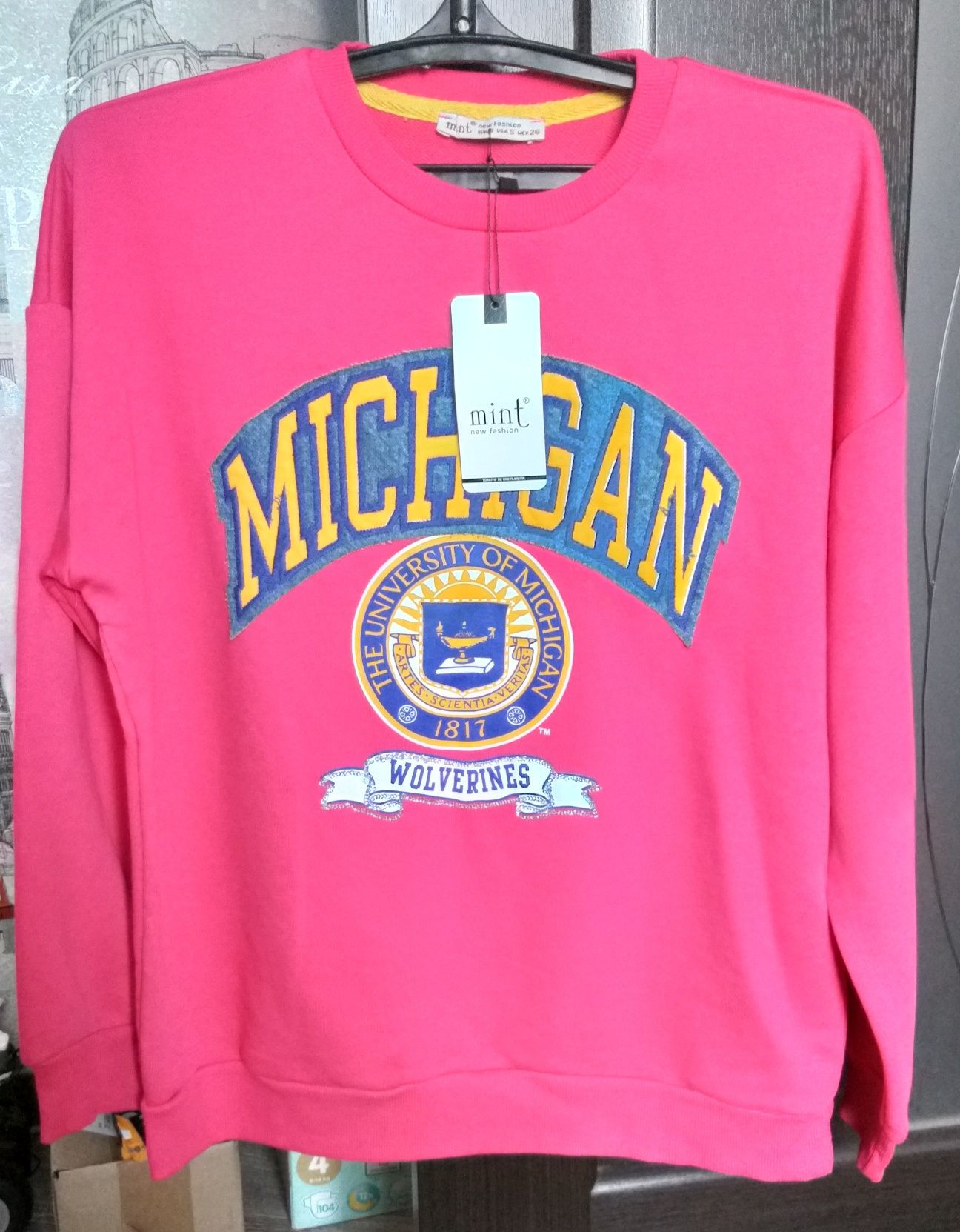 Світшот Michigan