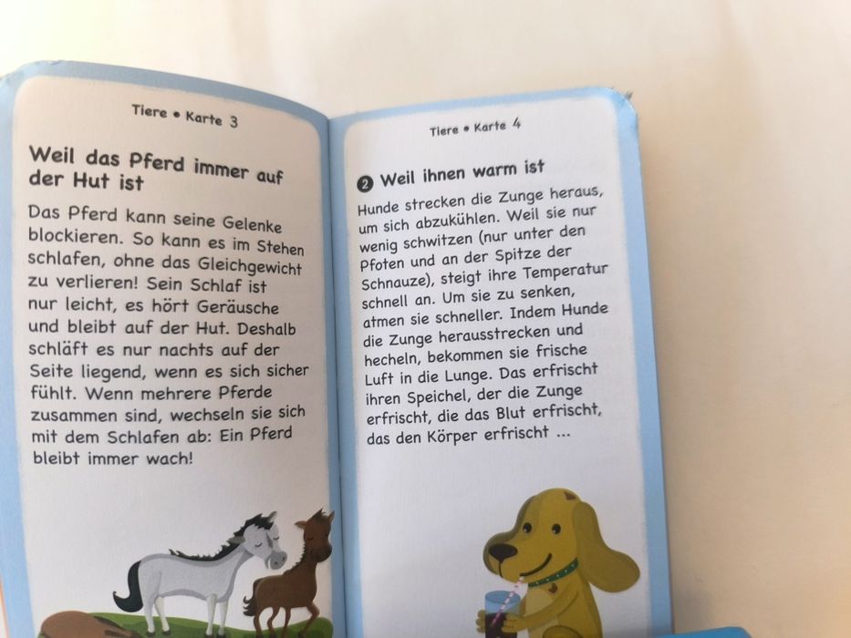 Niemiecka gra dla dzieci