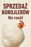 Sprzedam Kury Brojler miesny na rosół. Kaczki i Gęsi
