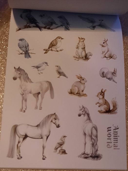 20 páginas repletas de autocolantes temáticos, Princesas, jardin