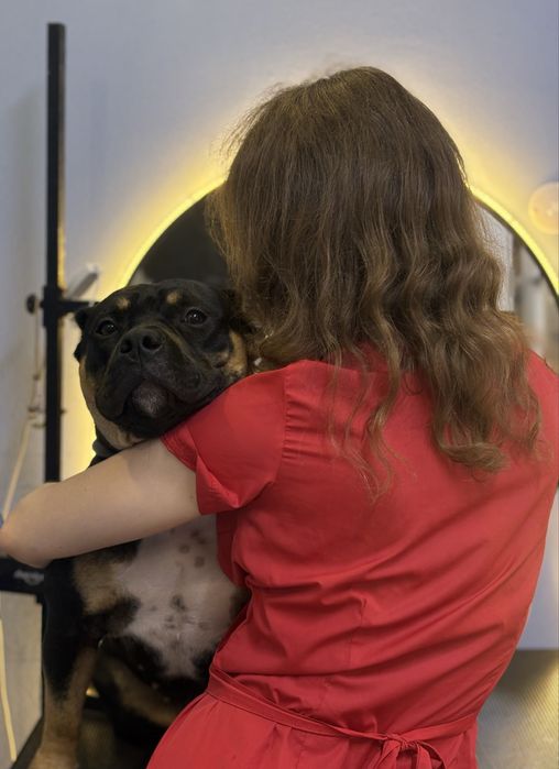 Грумінг песиків та котиків в центрі міста