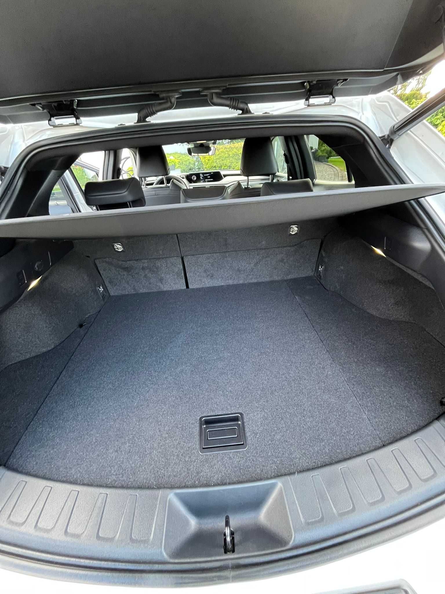 LEXUS UX250h FWD Hybryda
