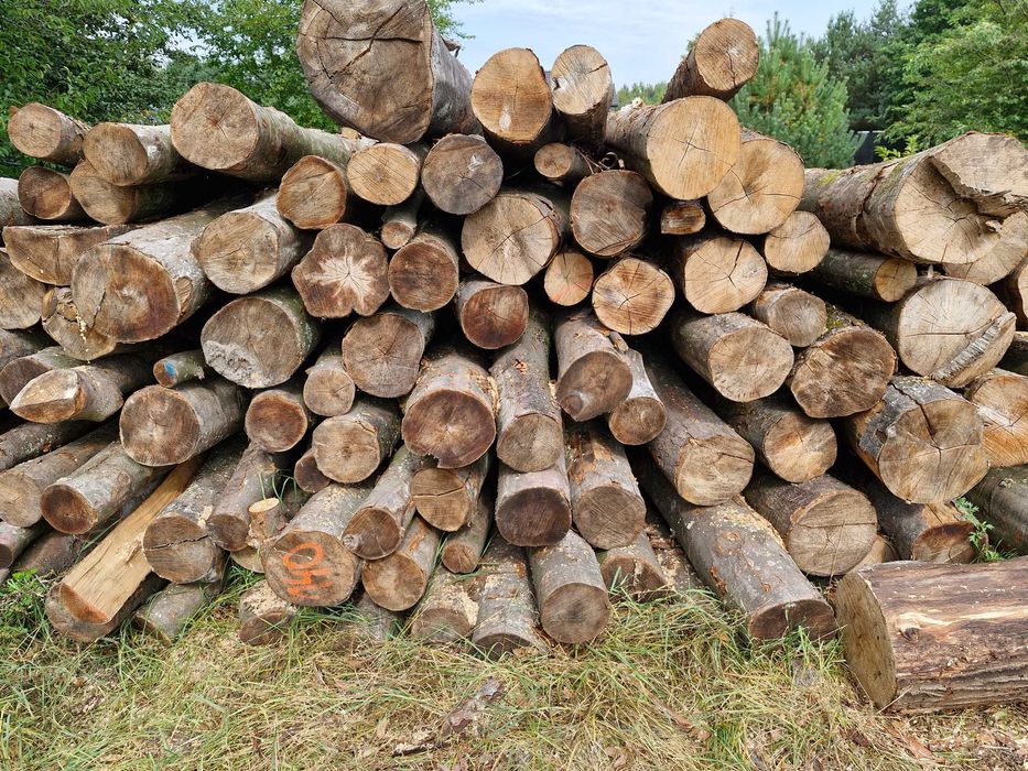 Sprzedam drewno kominkowe i opałowe