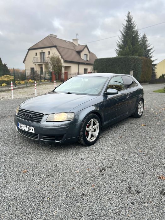 Audi A3 8P 2004 Rok 1.6 MPI
