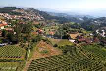 Terreno  para venda