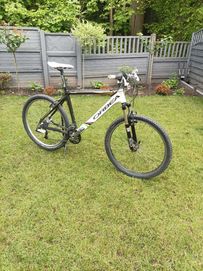 Rower Orbea MTB ,,L