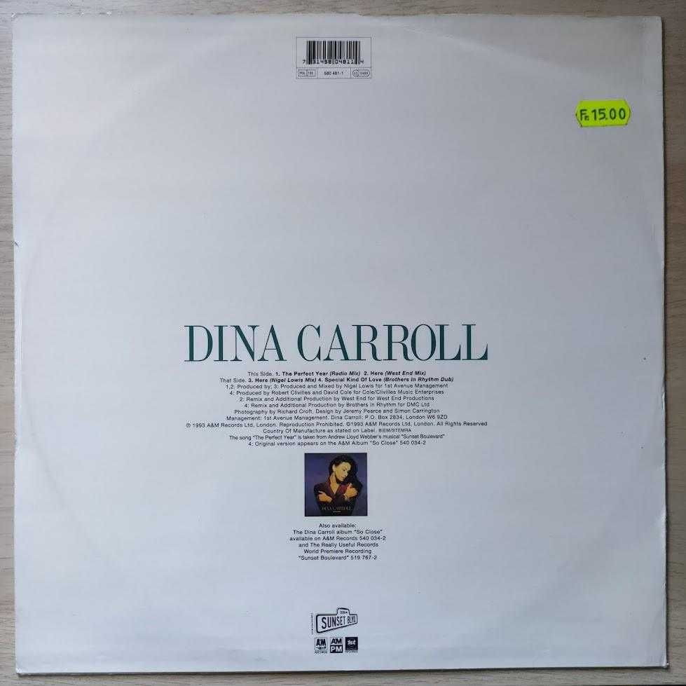 Dina Carroll - The Perfect Year