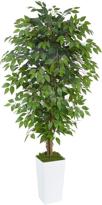 Sztuczne drzewko fikus 180 cm z białą donicą