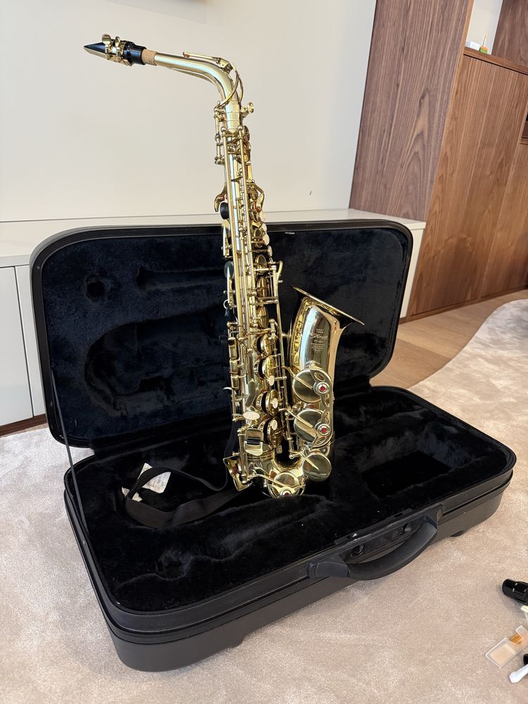 Saxophone Alto Stagg