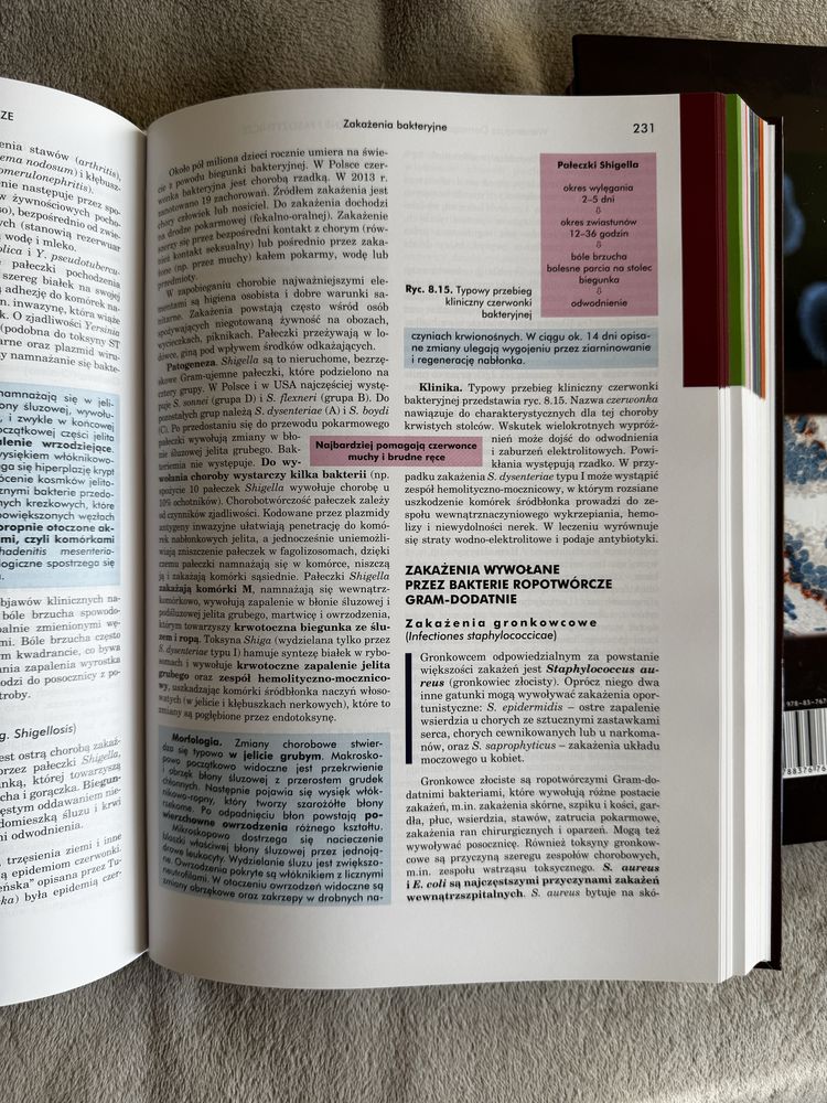 Patologia Domagała tom I i II