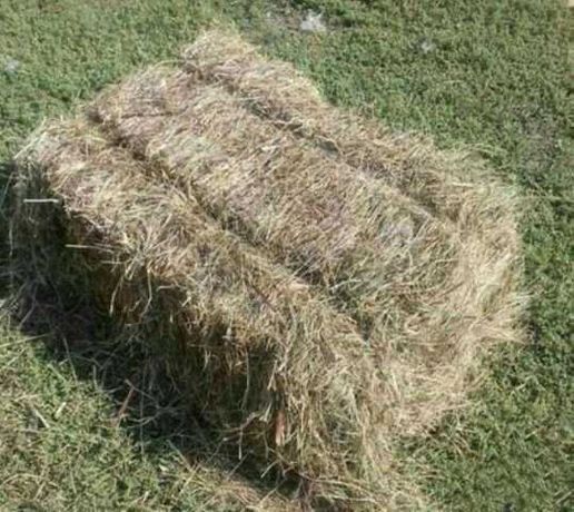 Продам сіно в тюках.солома пшенична.