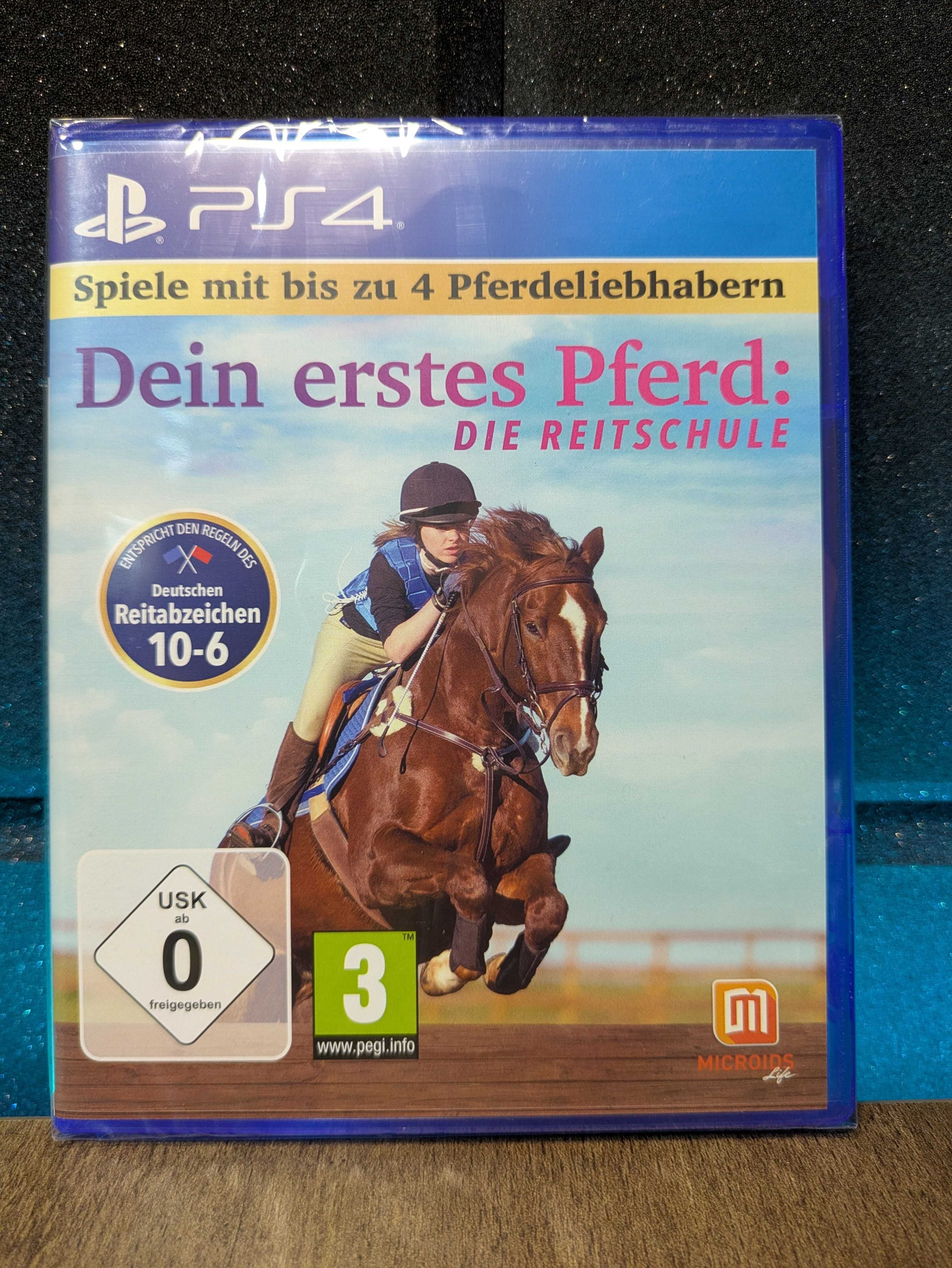 Equestrian Training PS4 / PS5 - gra o koniach, nauka jazdy konnej
