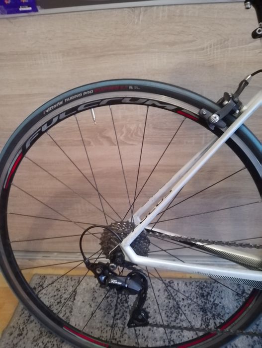 Focus izalco race rozm. S 51 cm.