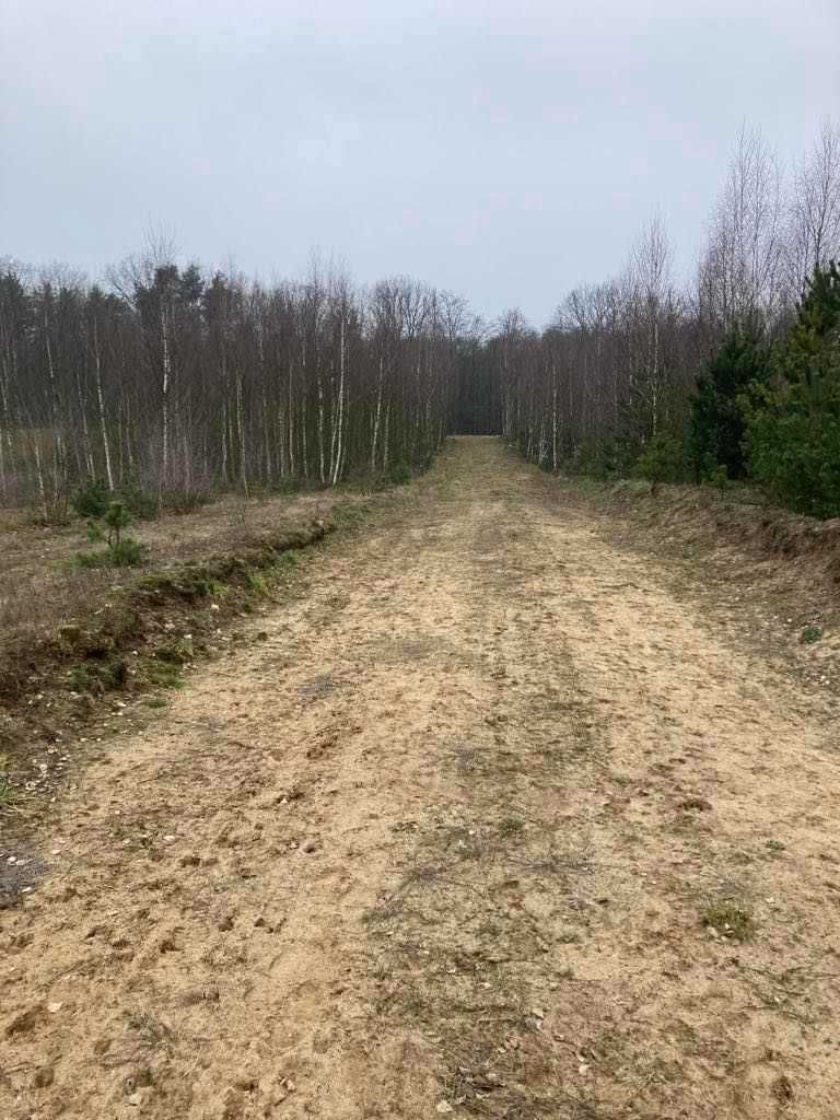 DZIAŁKA LUTÓWKO-Sępólno Kraj. Ponad 2000m2-Warunki zabudowy!!!