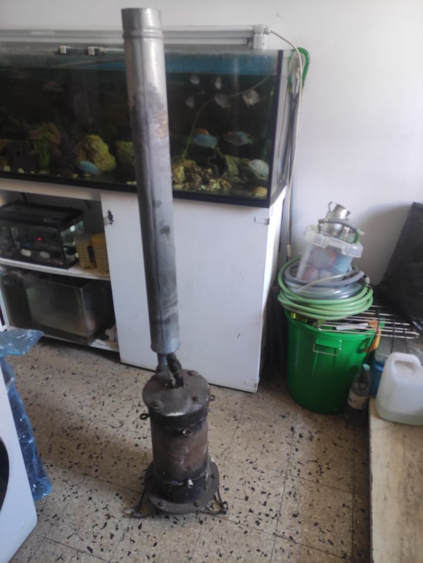 Salamandra em bom estado