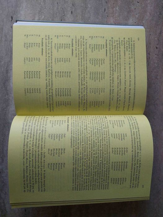 Słownik poprawnej polszczyzny. Практичний словник польської мови.