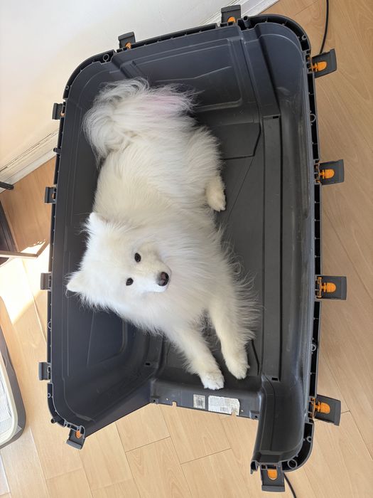 Transportadora Skudo Tamanho 7 – 105×73×76 cm – até 45 kg