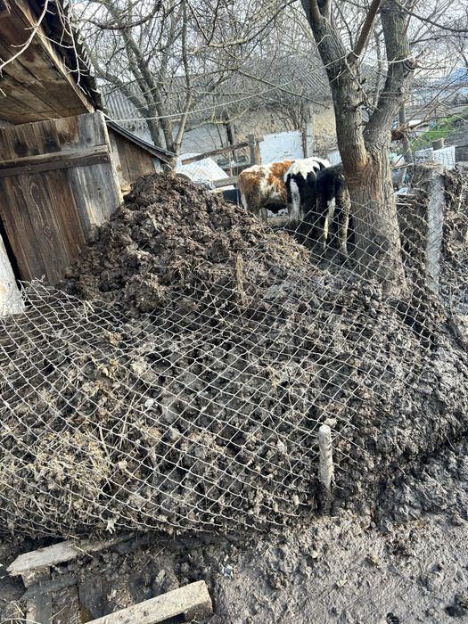Продам навоз  в мешках прошлогодный