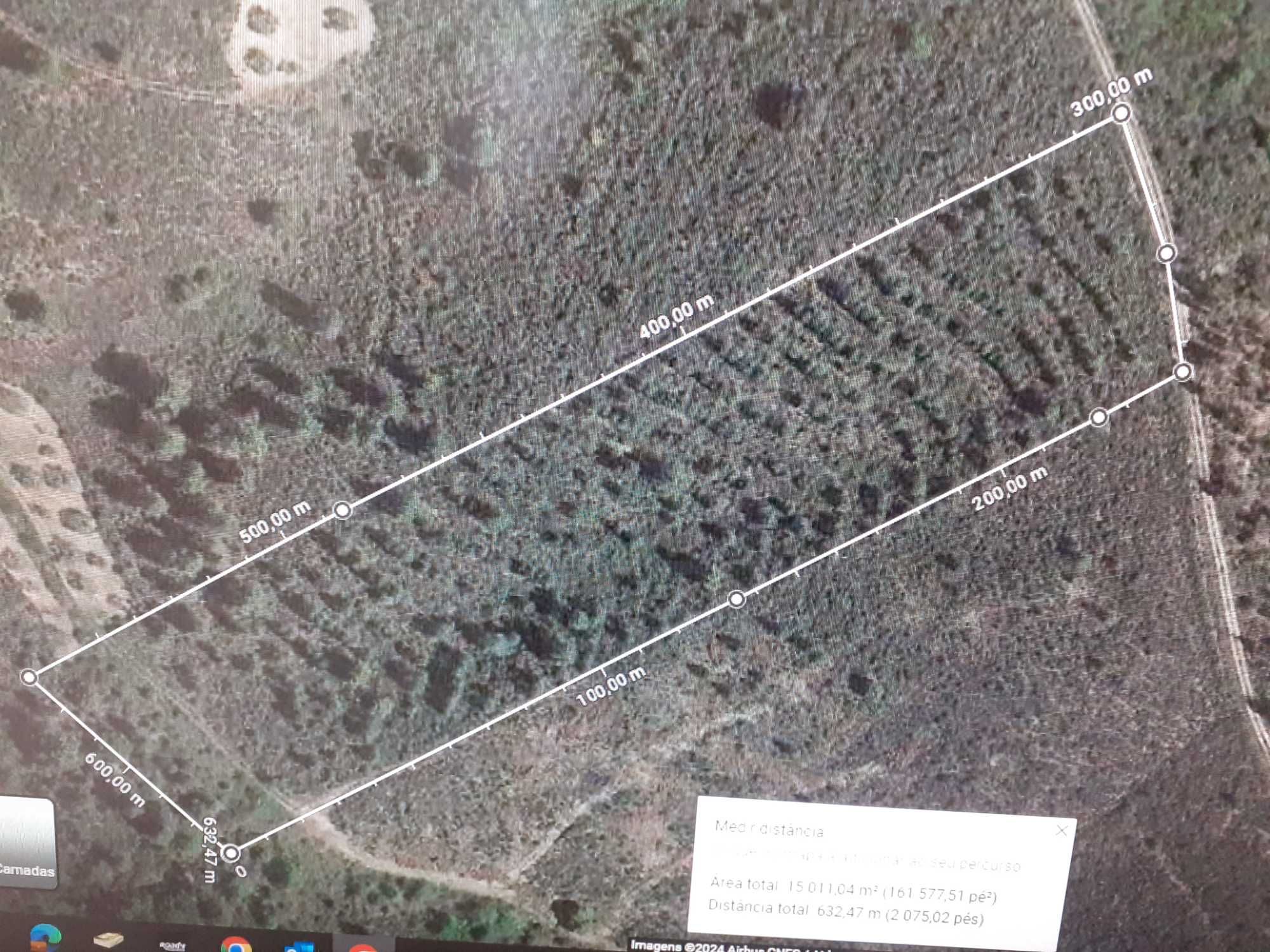 Terreno florestal